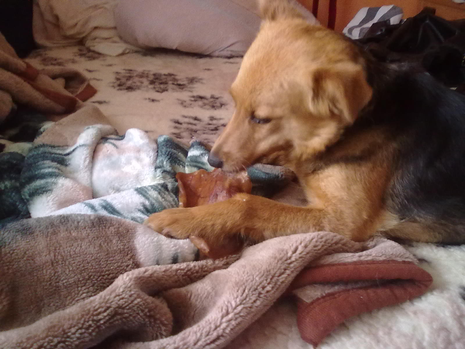 Ucho i ja II