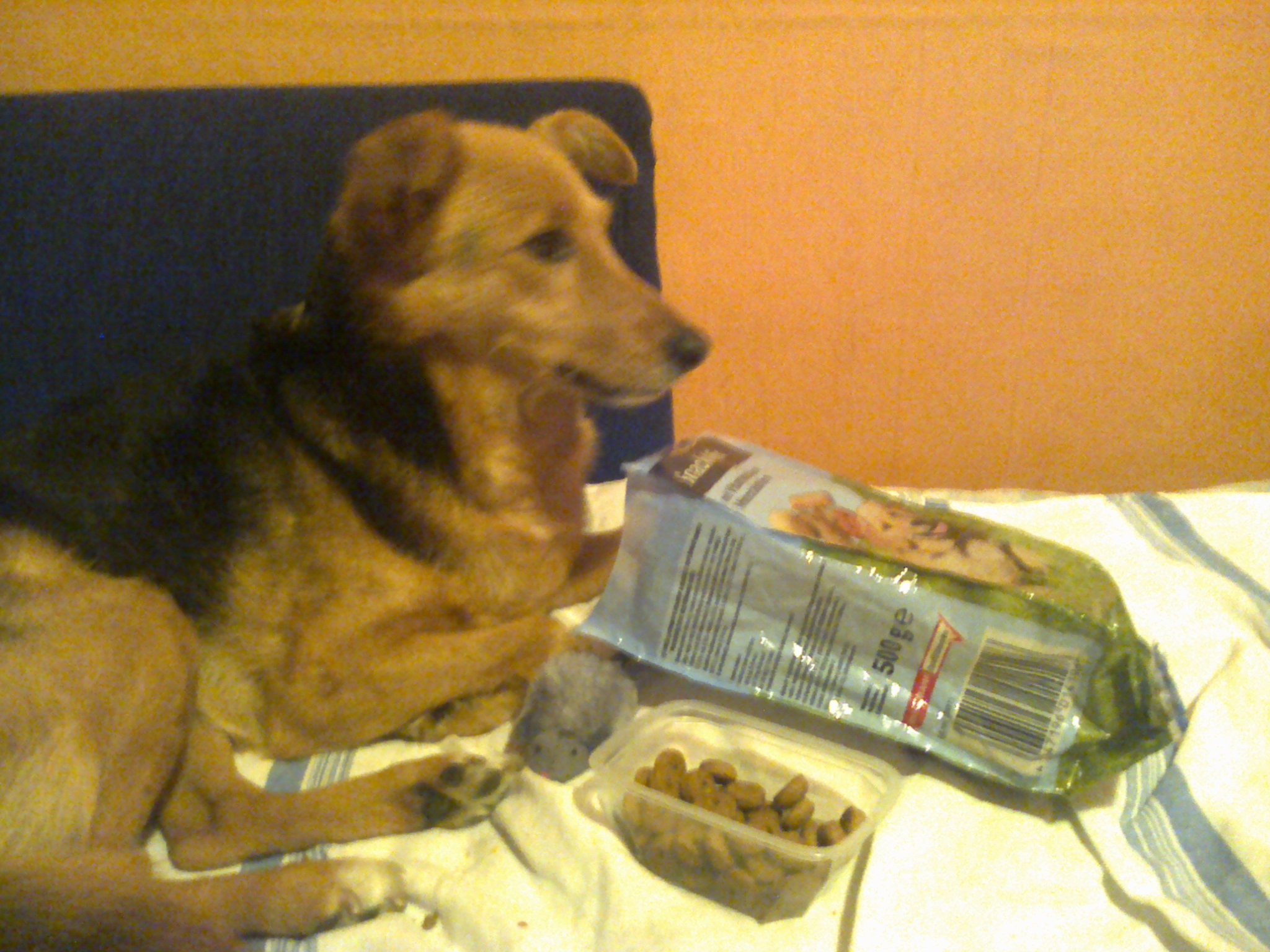 Moje skarby! =D